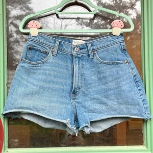 Abercrombie The 90s Cutoff Short High Rise Jean Denim Shorts 28 / 6 Curve Love